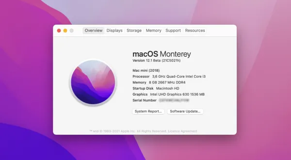 Wie man verlorene Dateien nach einem macOS Monterey Update wiederherstellt