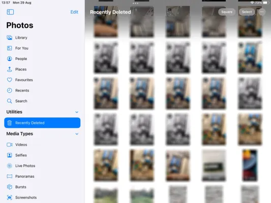 Wie man gelöschte Fotos vom iPad wiederherstellt