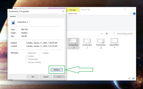 Stellen Sie die Datei mit der Doppelklick-Option aus dem Windows-Papierkorb wieder her.